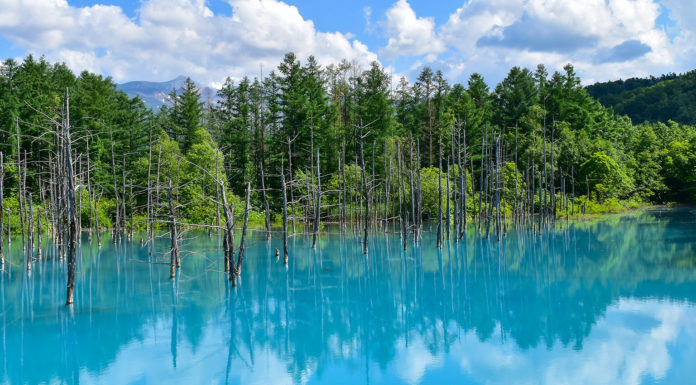 The Idyllic Hills of Biei: Exploring A Hidden Gem by Bike, Day 1 biei cycling itinerary hokkaido