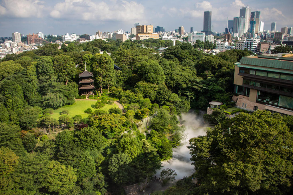 Unkai, A Mystical Sea of Clouds in Chinzanso Garden Tokyo