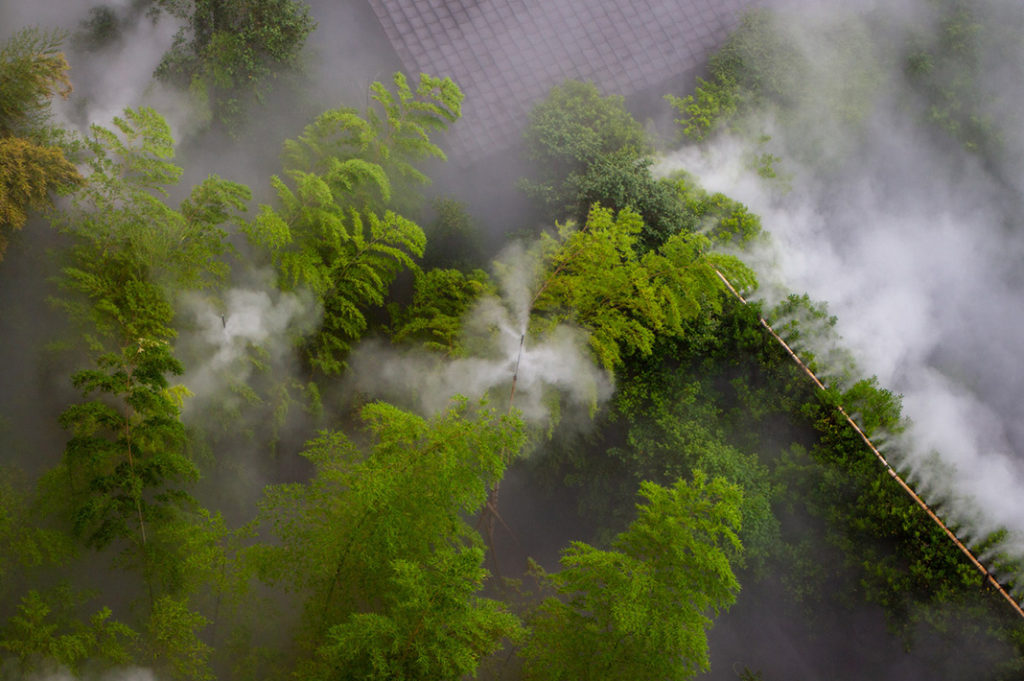 Unkai, A Mystical Sea of Clouds in Chinzanso Garden Tokyo
