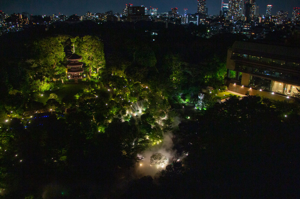 Summer Fireflies in Tokyo at Hotel Chinzanso
