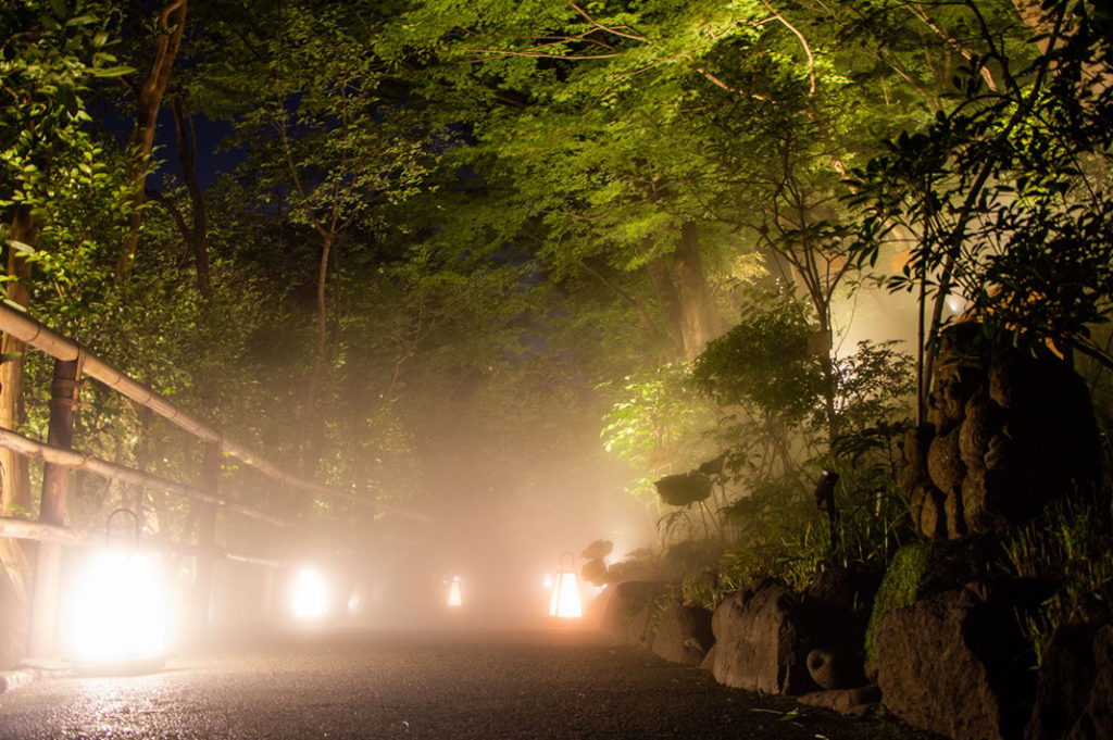 Misty gardens at CHinzanso