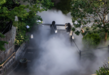 A Mystical Sea of Clouds in Tokyo’s Historic Chinzanso Garden