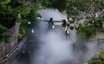 A Mystical Sea of Clouds in Tokyo’s Historic Chinzanso Garden