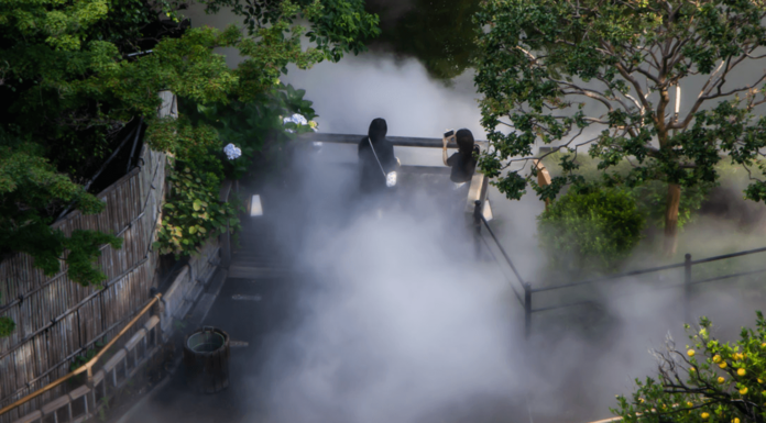 A Mystical Sea of Clouds in Tokyo’s Historic Chinzanso Garden