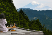 Take a Refreshing Pause at Shizuoka’s ‘Tea Room in the Sky’ shizuoka tea fields