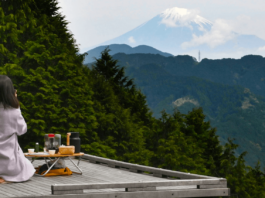 Take a Refreshing Pause at Shizuoka’s ‘Tea Room in the Sky’ shizuoka tea fields