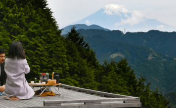 Take a Refreshing Pause at Shizuoka’s ‘Tea Room in the Sky’ shizuoka tea fields