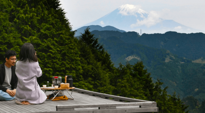 Take a Refreshing Pause at Shizuoka’s ‘Tea Room in the Sky’ shizuoka tea fields