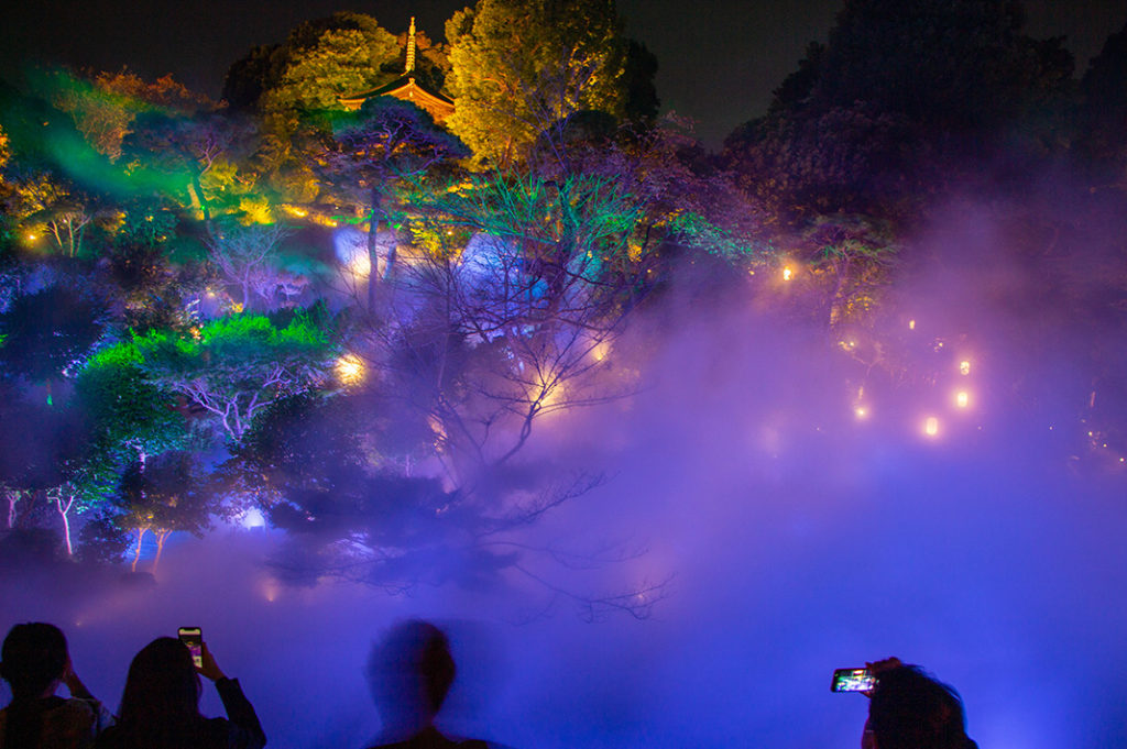 Things to do in Tokyo in winter: head to Hotel Chinzanso Tokyo to see the Forest Aurora Northern Lights display 