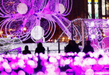 Sapporo Shines with 730,000 Lights This Winter
