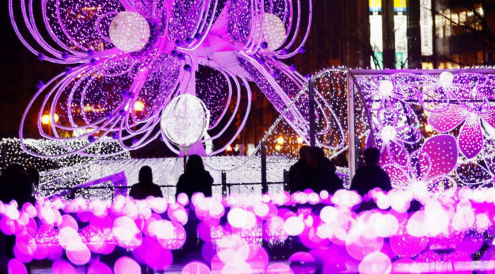 Sapporo Shines with 730,000 Lights This Winter