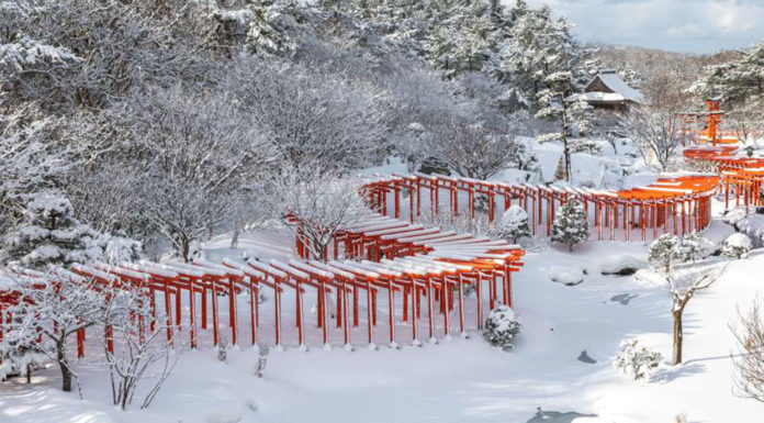 Aomori’s Takayama Inari Shrine: Senbon Torii and Cherry Blossoms