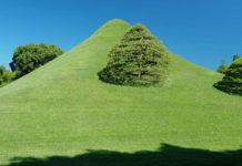 Suizenji Garden: Where the Art of War and Culture Resonate with One Another