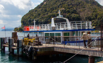 Ine Bay Sightseeing Boat: Birds and Boat houses