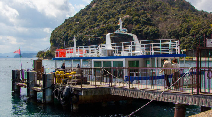 Ine Bay Sightseeing Boat: Birds and Boat houses