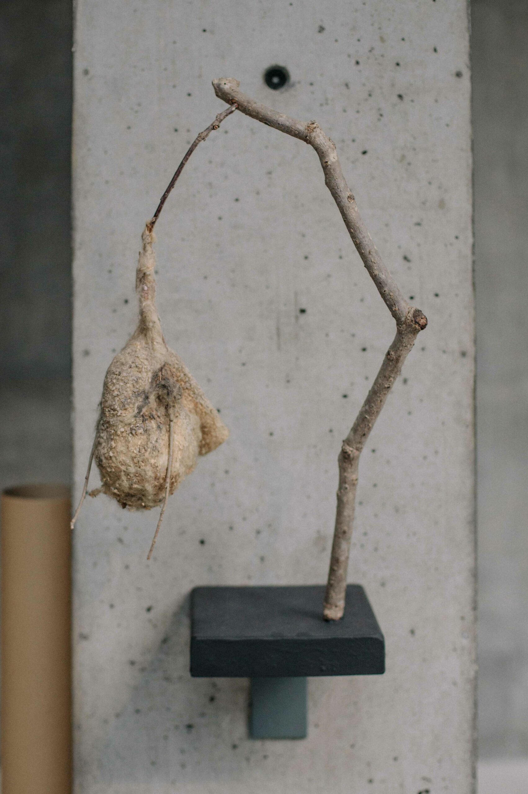 A penduline tit nest mounted on a plinth.