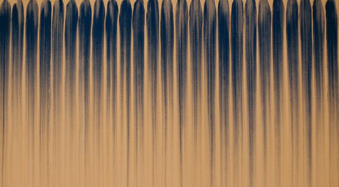 Fukuoka Asian Art Museum: A Platform for Asian Perspectives