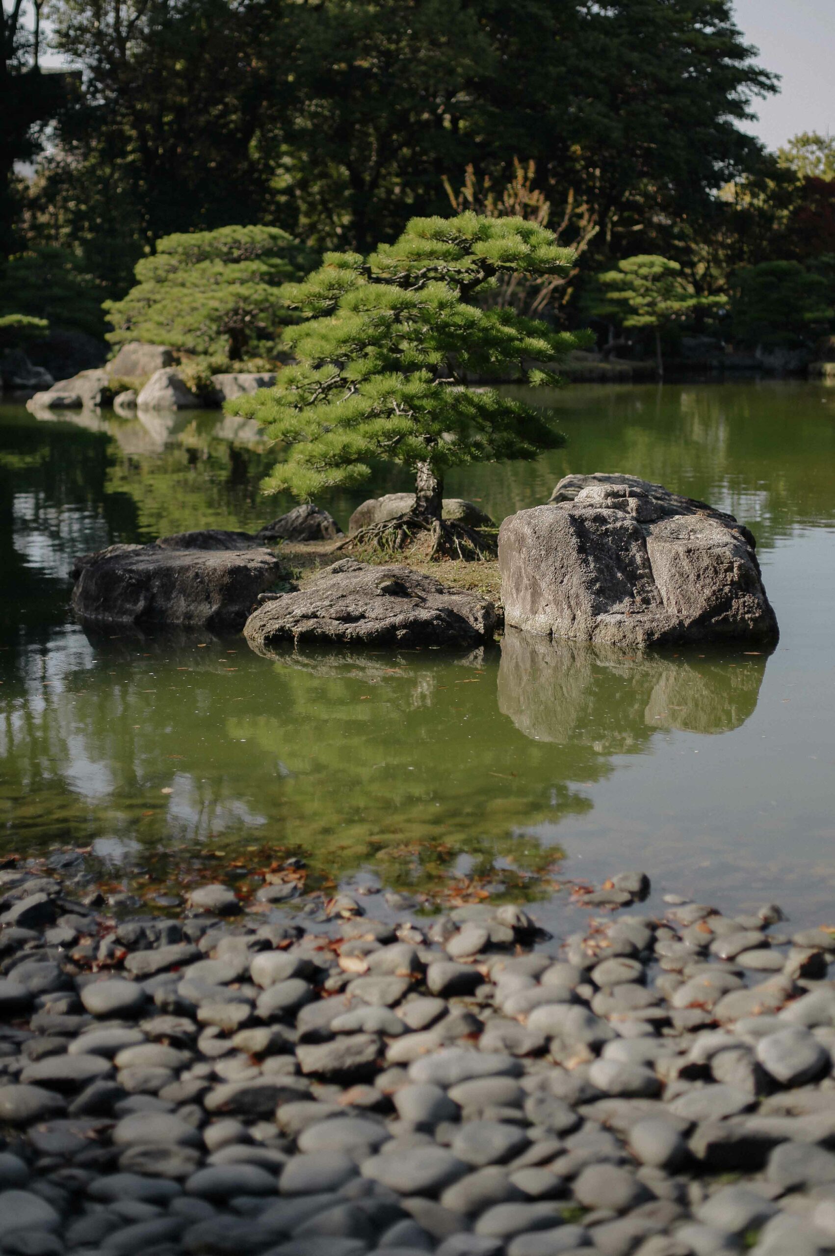 Miniature pines are planted on rock islands within the pond area.
