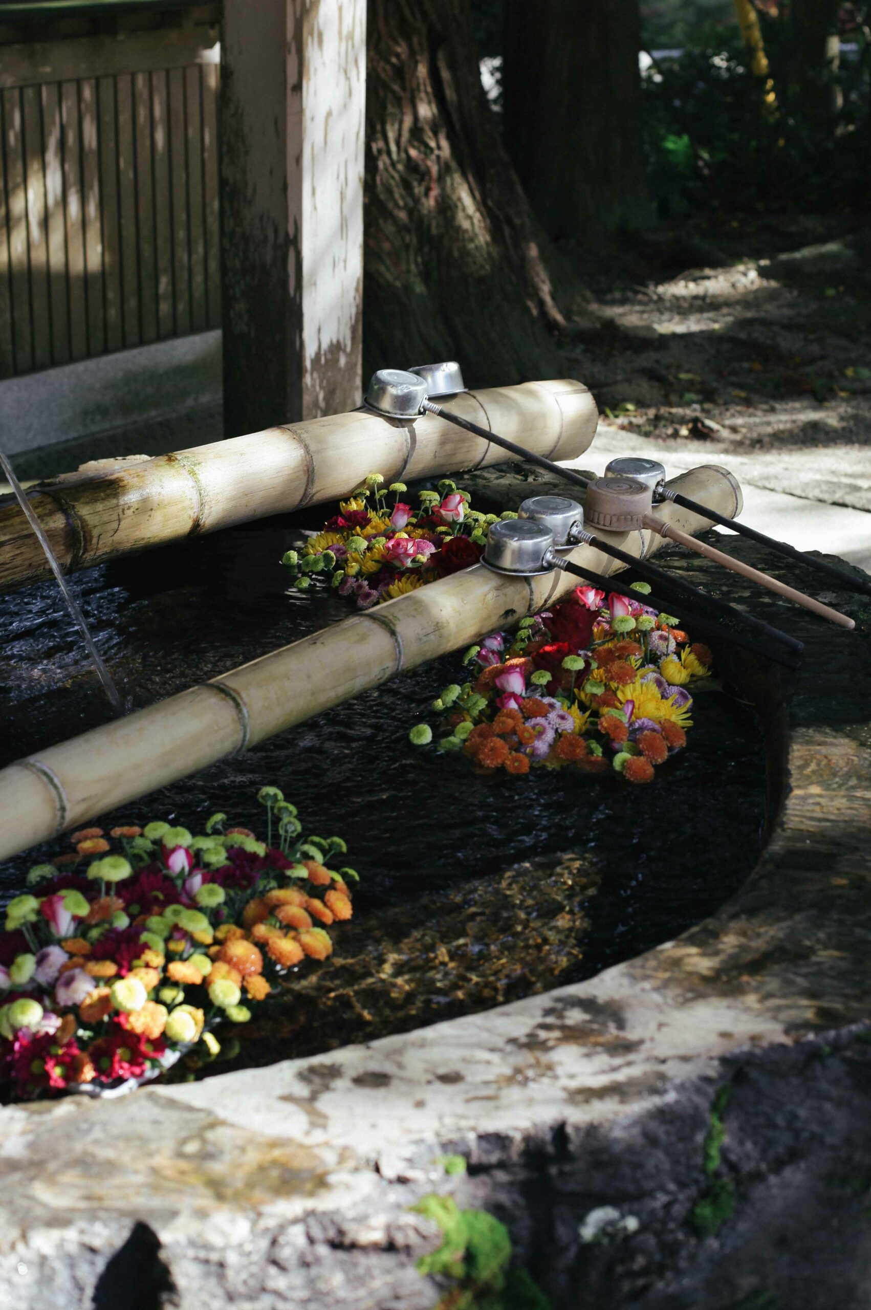 Flowers decorate the cleansing basin at Raizan Sennyо̄ji.
