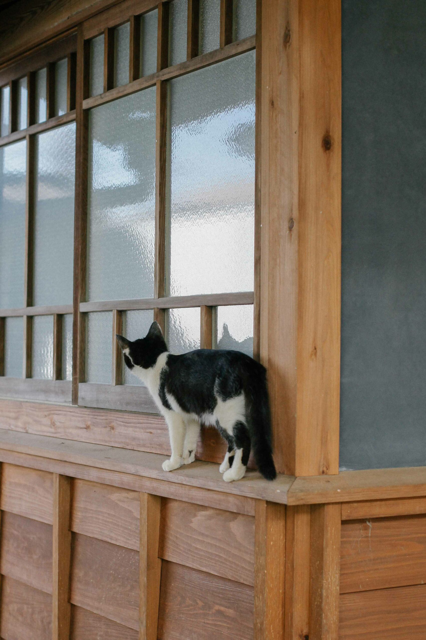 Perhaps the highlight of any visit, Sо̄seki Natsume's house wouldn't be complete without some cats.