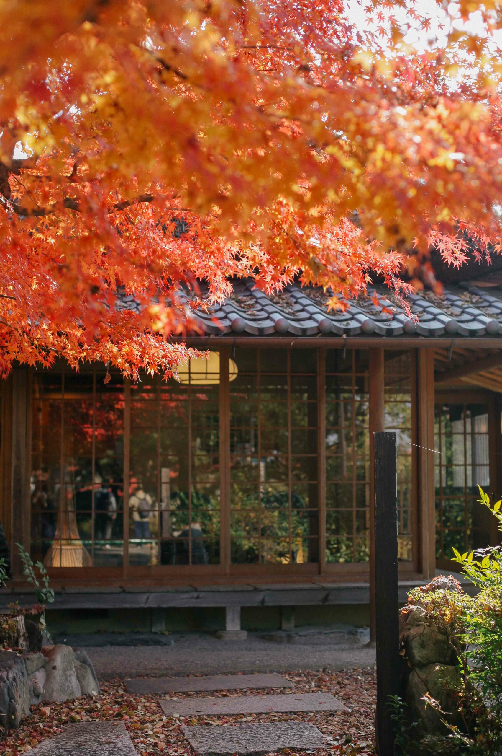 Stopping for green tea is an especially popular pastime in Uji.