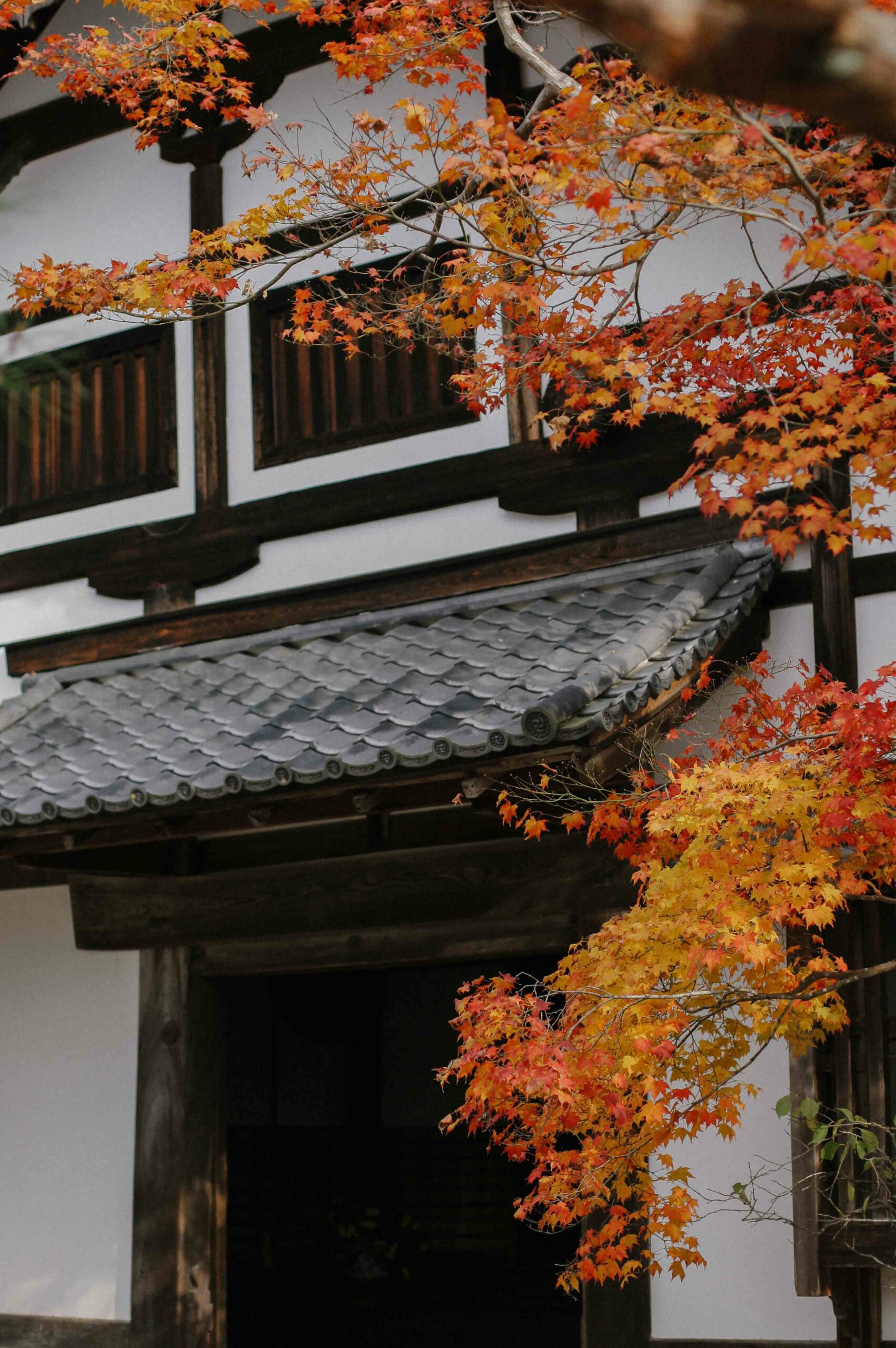 The temple's autumn colours are almost impossible to believe.