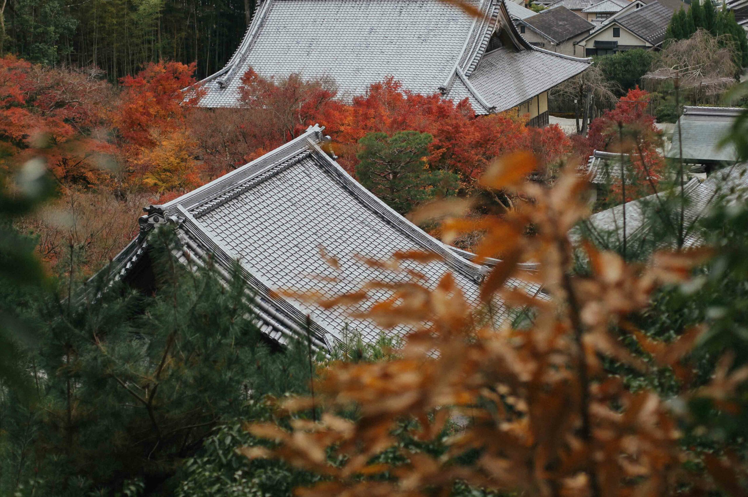 Temple roofs and autumn colours - a perfect end to the year in Kyoto.