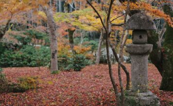 Zuiganzan Enkoji Temple: Moss, Maples, Modernism