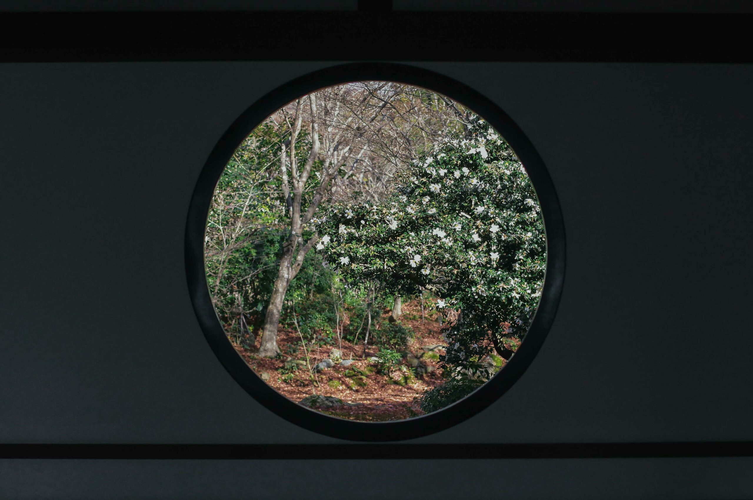 The temple's famed 'circle window' looks out onto Japanese maples and camellias. 