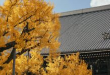 Nishi and Higashi Hongan-ji: East Meets West in Central Kyoto