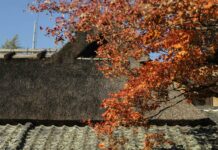 Shisendо̄: Kyoto’s Rustic Retreat