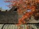 Shisendо̄: Kyoto’s Rustic Retreat