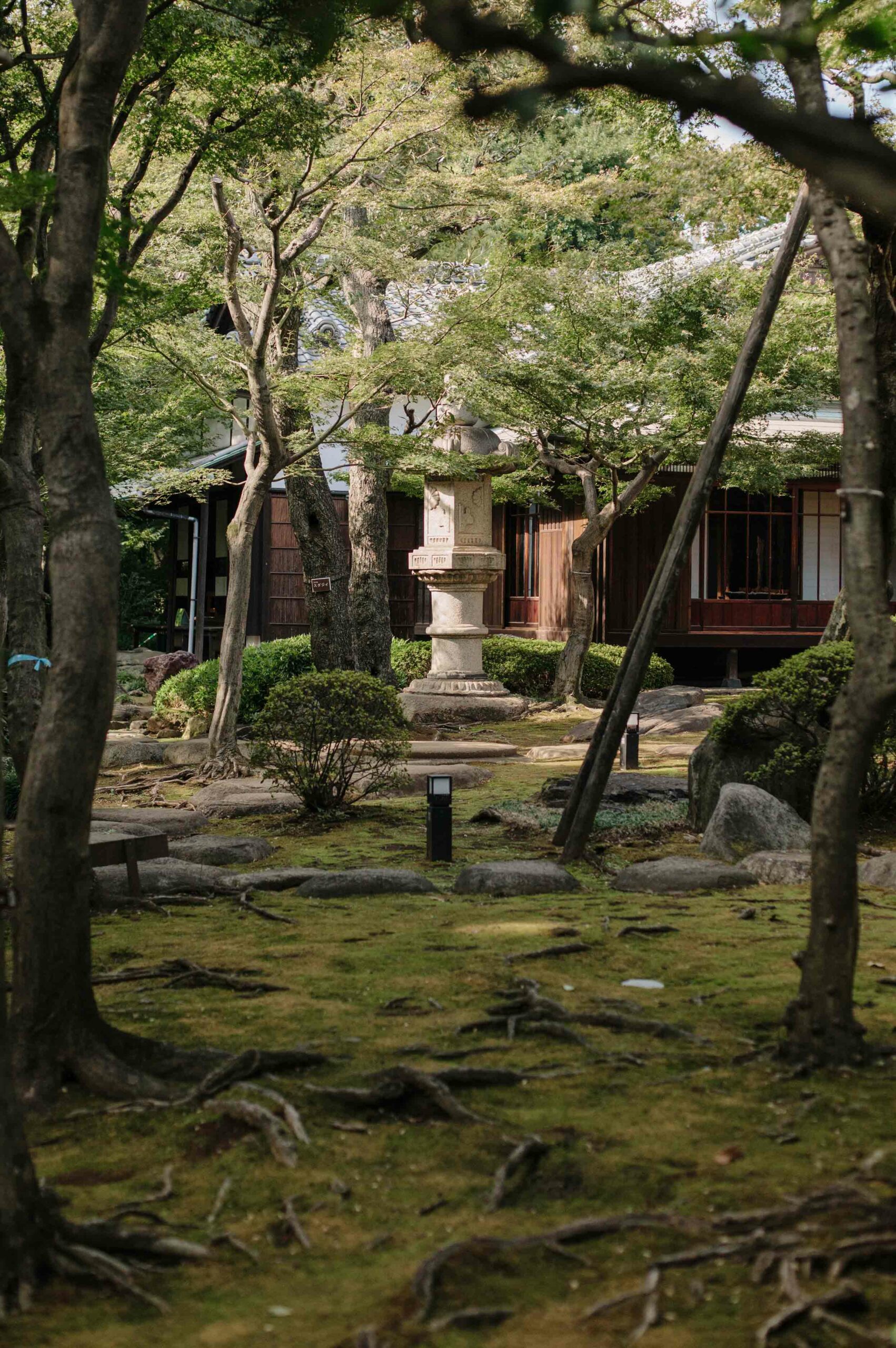 Enormous stone lanterns decorate the Kyu Asakura house's garden.