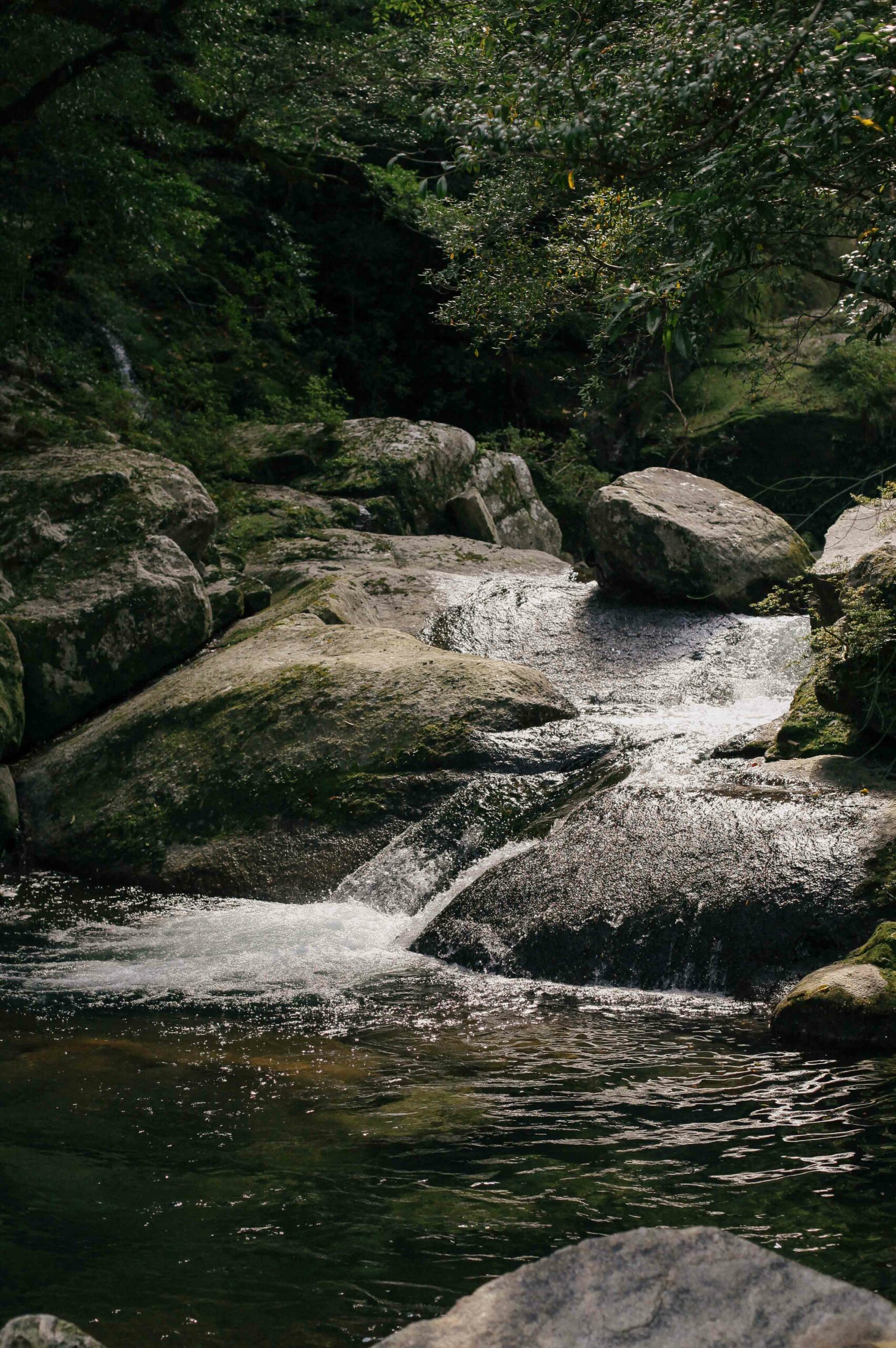 Shiratani Unisuikyo's landscape is deeply forested and strewn with granite boulders.