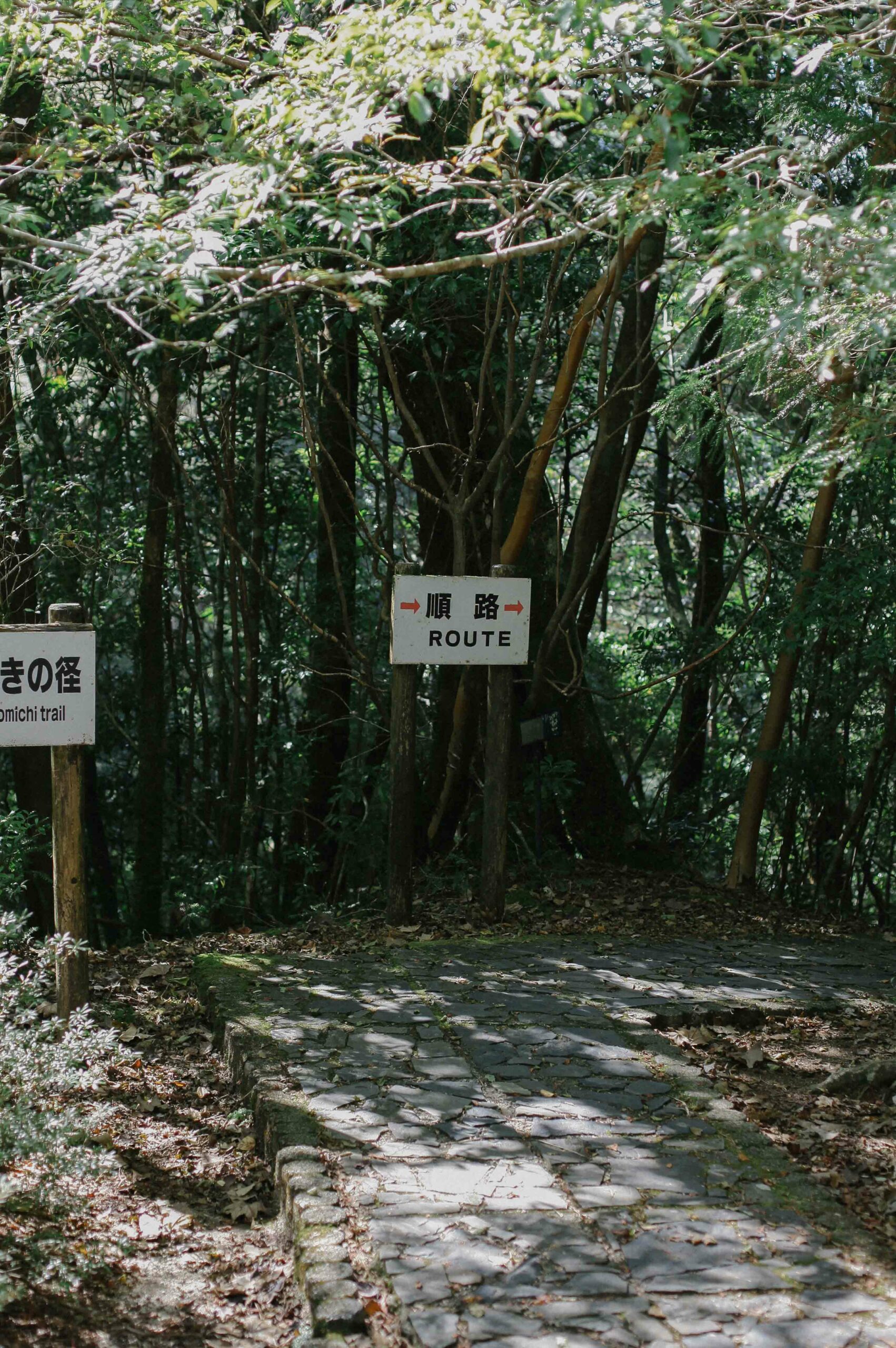 Routes are very clearly marked at Yakusugi Land; you don't need to worry about getting lost.