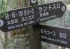Yakusugi Land: Hiking for All on Yakushima Island There's something for every hiker at Yakushima's Yakusugi Land!