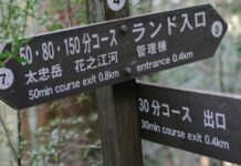 Yakusugi Land: Hiking for All on Yakushima Island There's something for every hiker at Yakushima's Yakusugi Land!