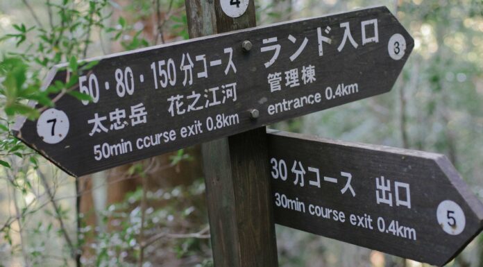 Yakusugi Land: Hiking for All on Yakushima Island There's something for every hiker at Yakushima's Yakusugi Land!