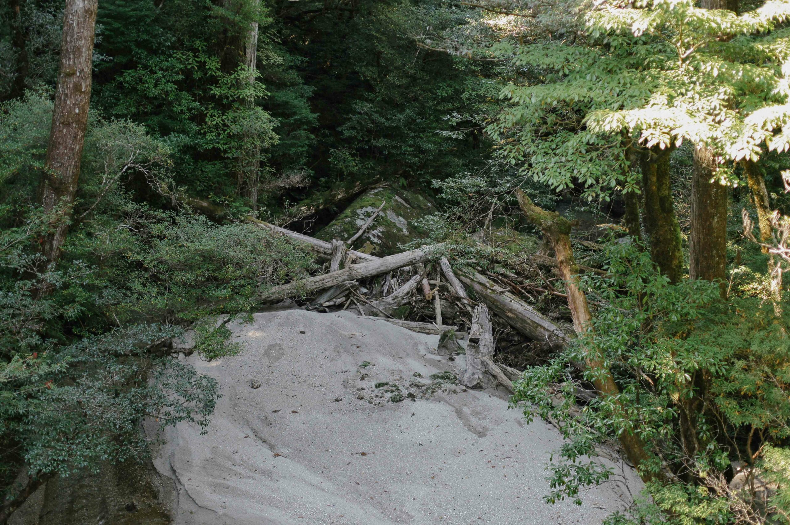 High rainfall combines with typhoons to create Yakushima's unique landscapes.