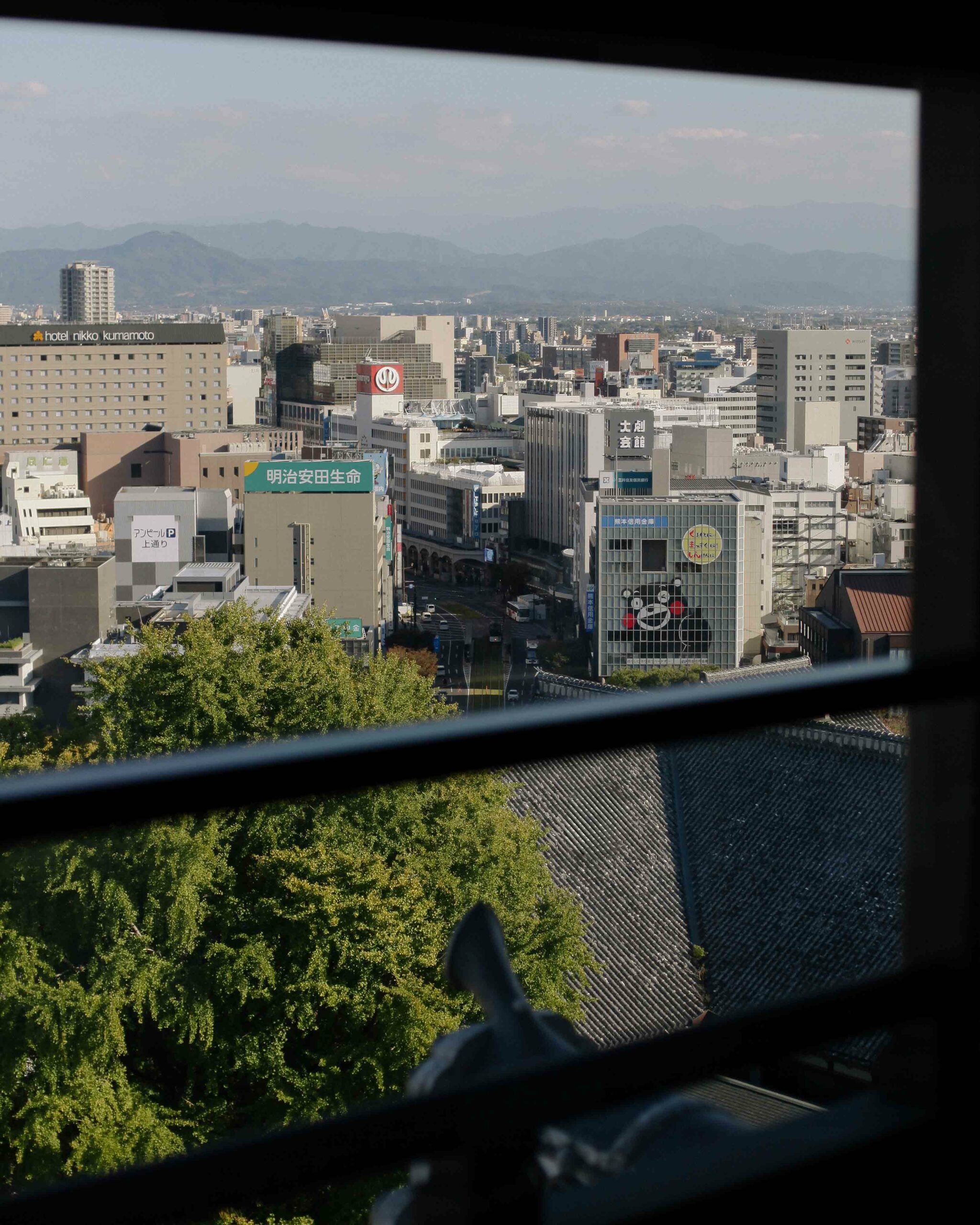 Kumamoto city, viewed from the castle.