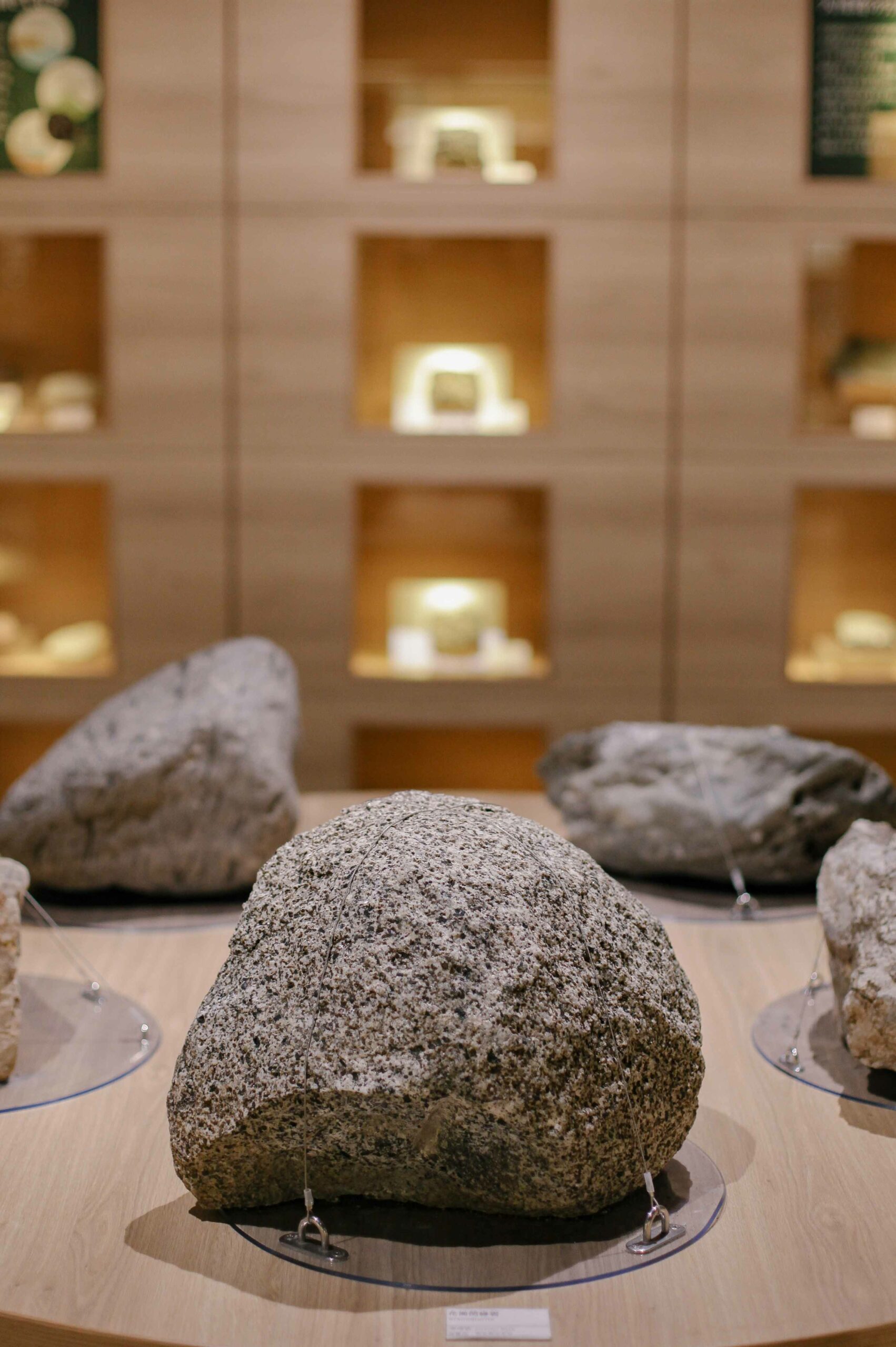 The museum has a natural history zone, with an abundance of geological and botanical specimens.