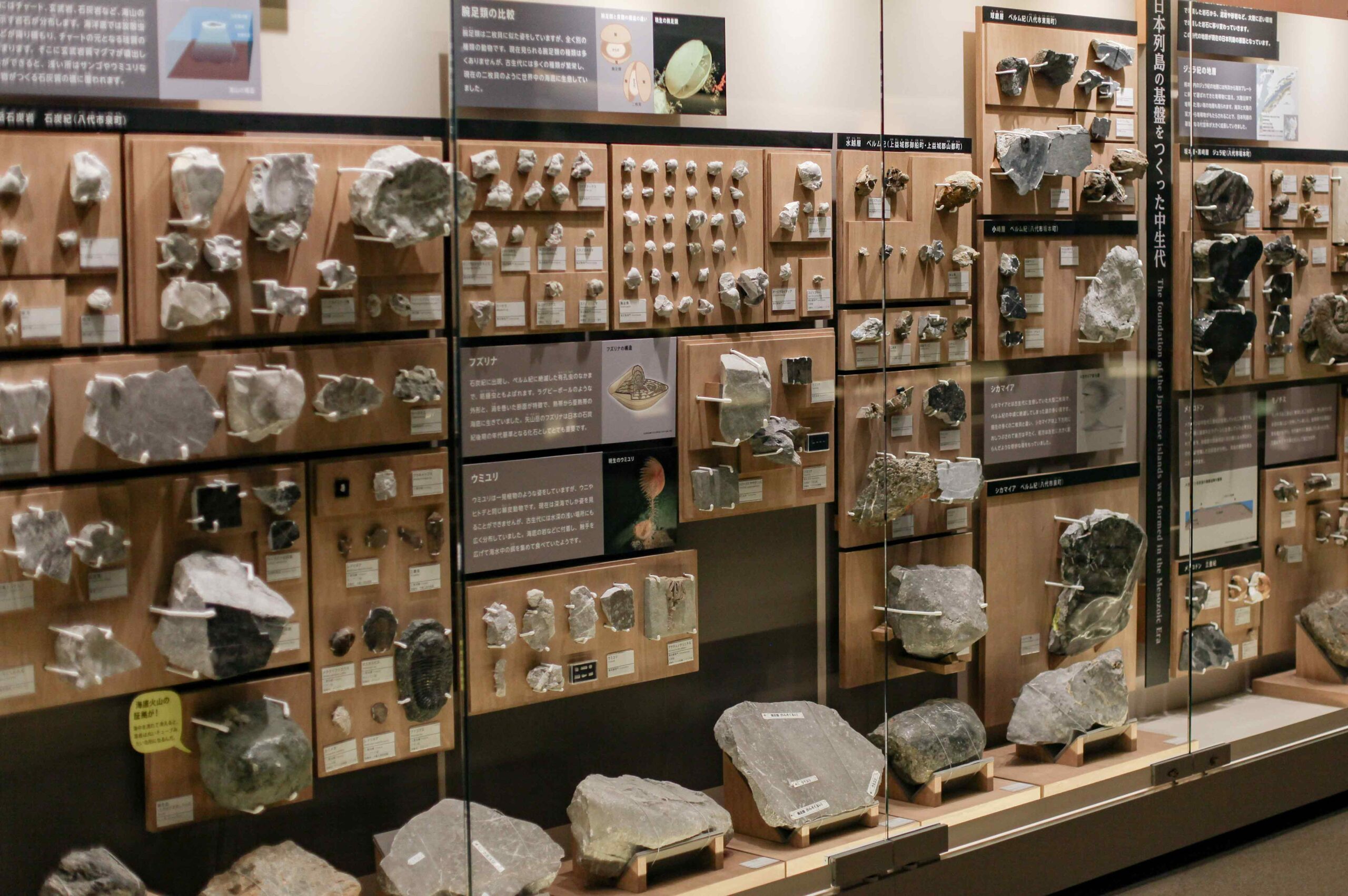 Minerals and volcanism make up a large part of Kumamoto City Museum's natural history zone.