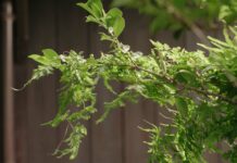 Japan Folk Crafts Museum in Tokyo: The Home of Japan’s Handmade Heritage