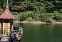 Moominvalley Saitama: It’s Moominsummer Madness!