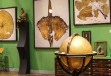 Intermediatheque Museum Tokyo: Curious and Curiouser