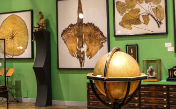 Intermediatheque Museum Tokyo: Curious and CuriouserÂ
