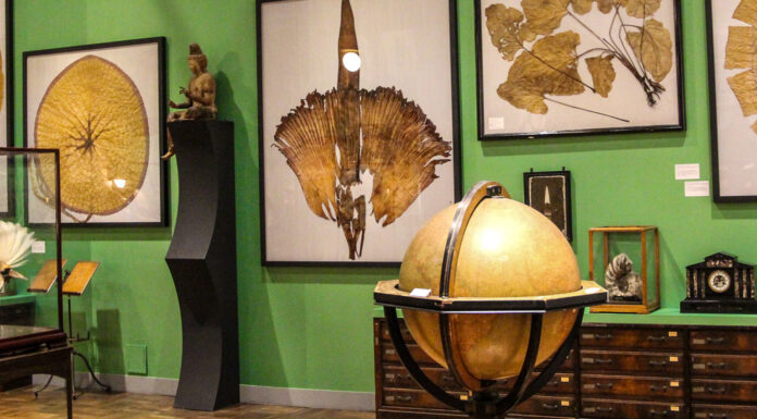 Intermediatheque Museum Tokyo: Curious and Curiouser