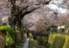 A Contemplative Stroll Along Kyoto’s Philosopher’s Path