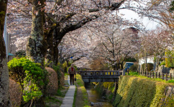 A Contemplative Stroll Along Kyoto’s Philosopher’s Path
