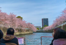Set Sail on a Cherry Blossom River Cruise in Tokyo